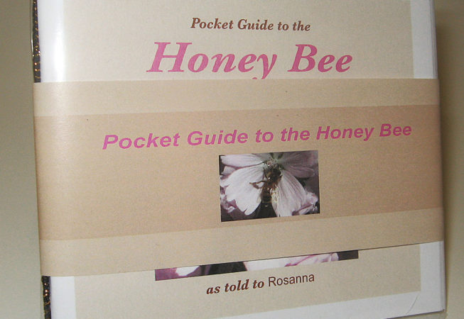 pocket guide to the honey bee cover