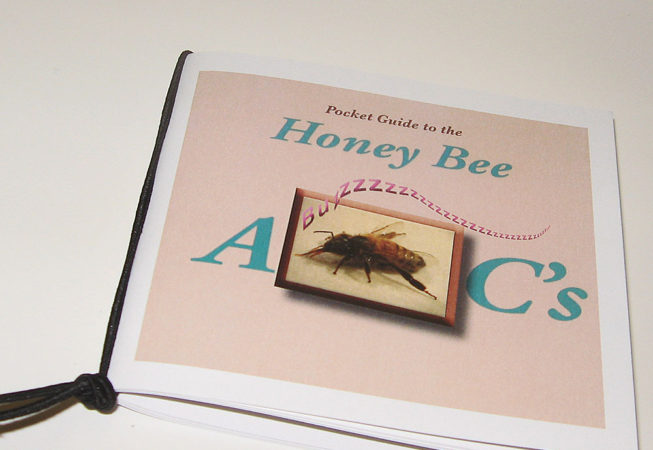 front of pocket guide to the honey bee abcs