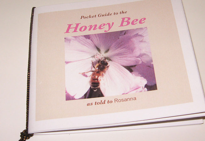 front of pocket guide to the honey bee