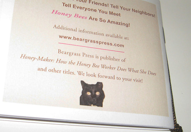 back of pocket guide to the honey bee