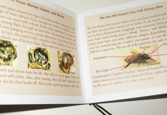 inside pocket guide to the honey bee
