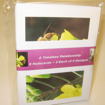 timeless relationship collection notecards