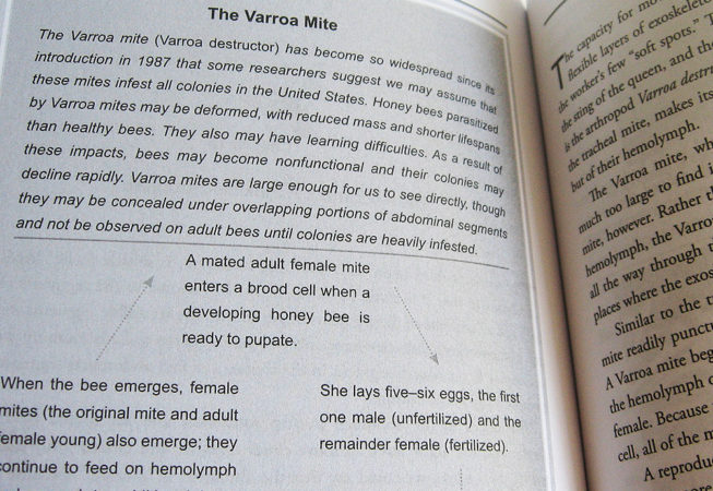 page describing Varroa life cycle in honey-maker