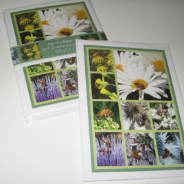 for the bees greeting card