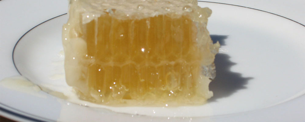 honey in comb